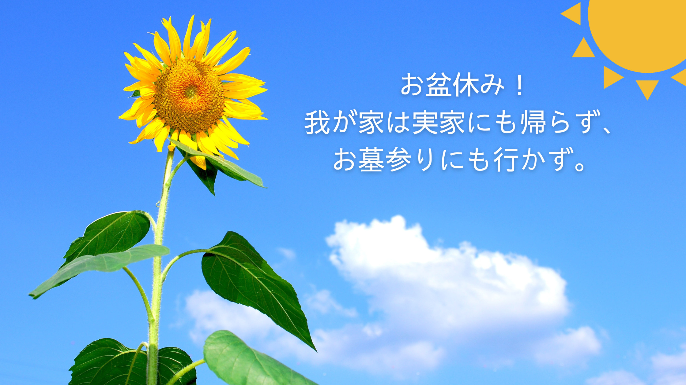 お盆休み！我が家は実家にも帰らず、お墓参りにもいかず