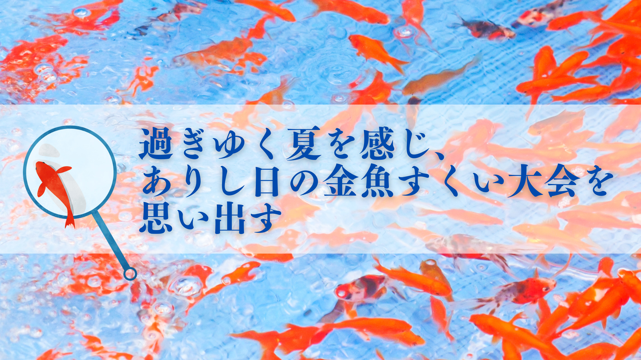 過ぎゆく夏を感じ、ありし日の金魚すくい大会を思い出す