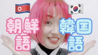 【TikTok】朝鮮語と韓国語の違い